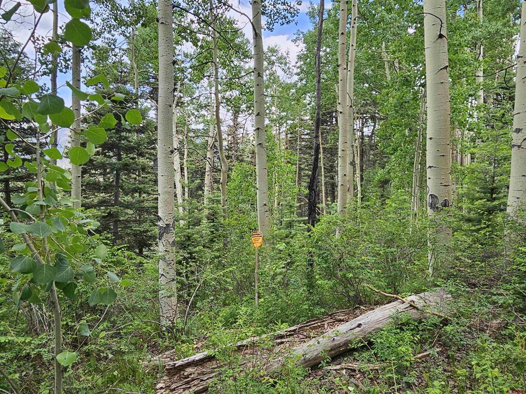 4556 Middle Mountain Road Property Photo 2