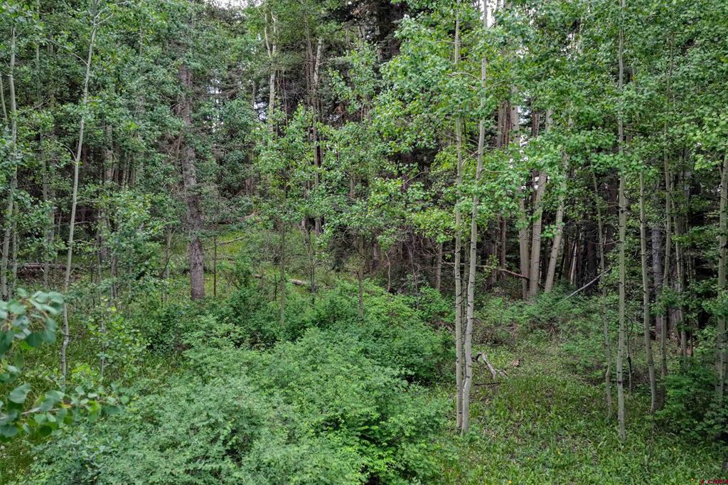 4556 Middle Mountain Road Property Photo 5