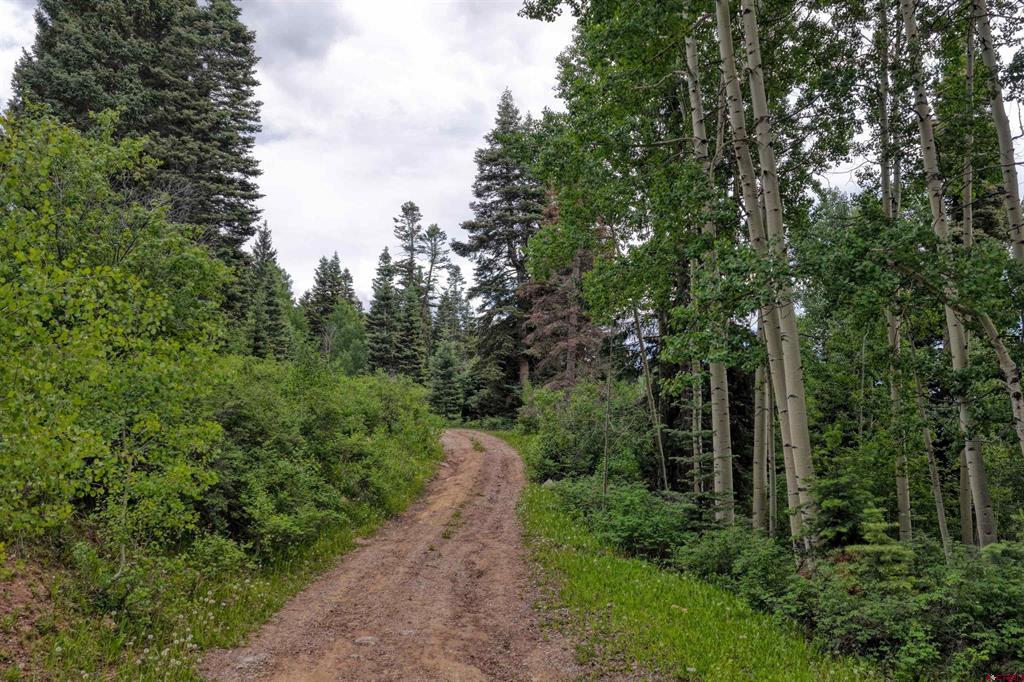4556 Middle Mountain Road Property Photo 6