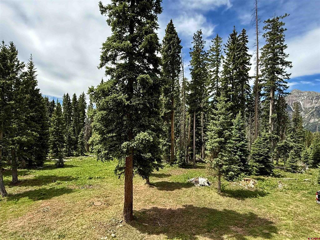 000 Oro Fino Property Photo 27