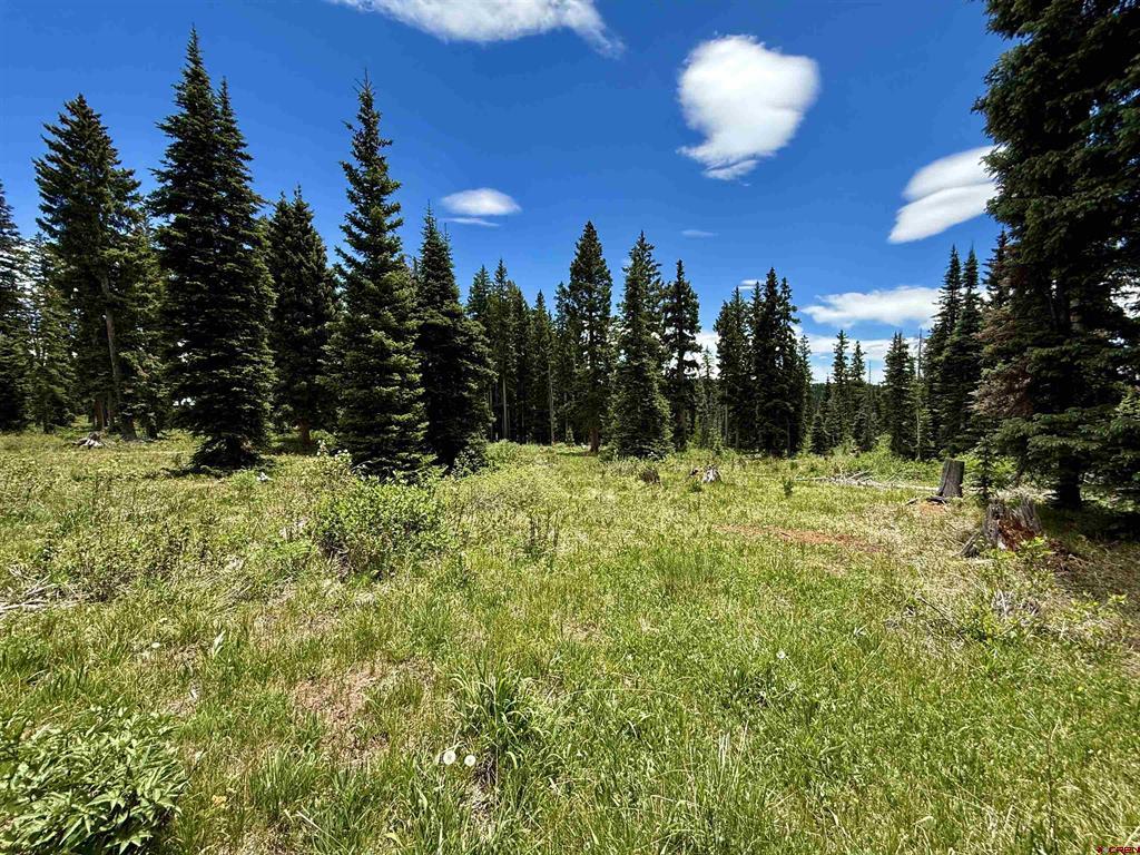 000 Oro Fino Property Photo 37