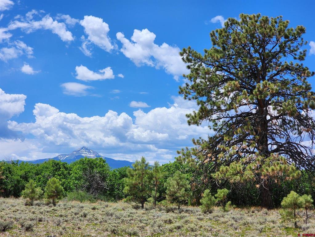 Tbd Canyon Rim Loop Property Photo 12