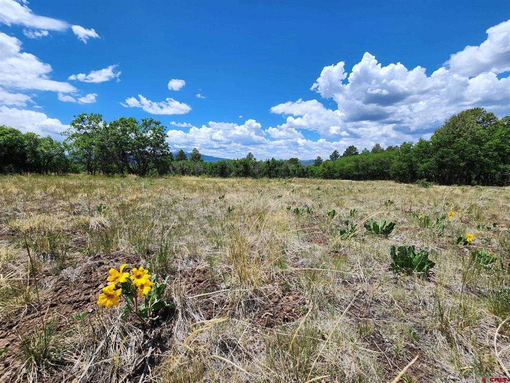 Tbd Canyon Rim Loop Property Photo 30