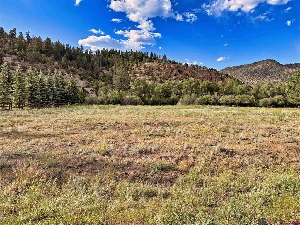 365 Landon Property Photo 5