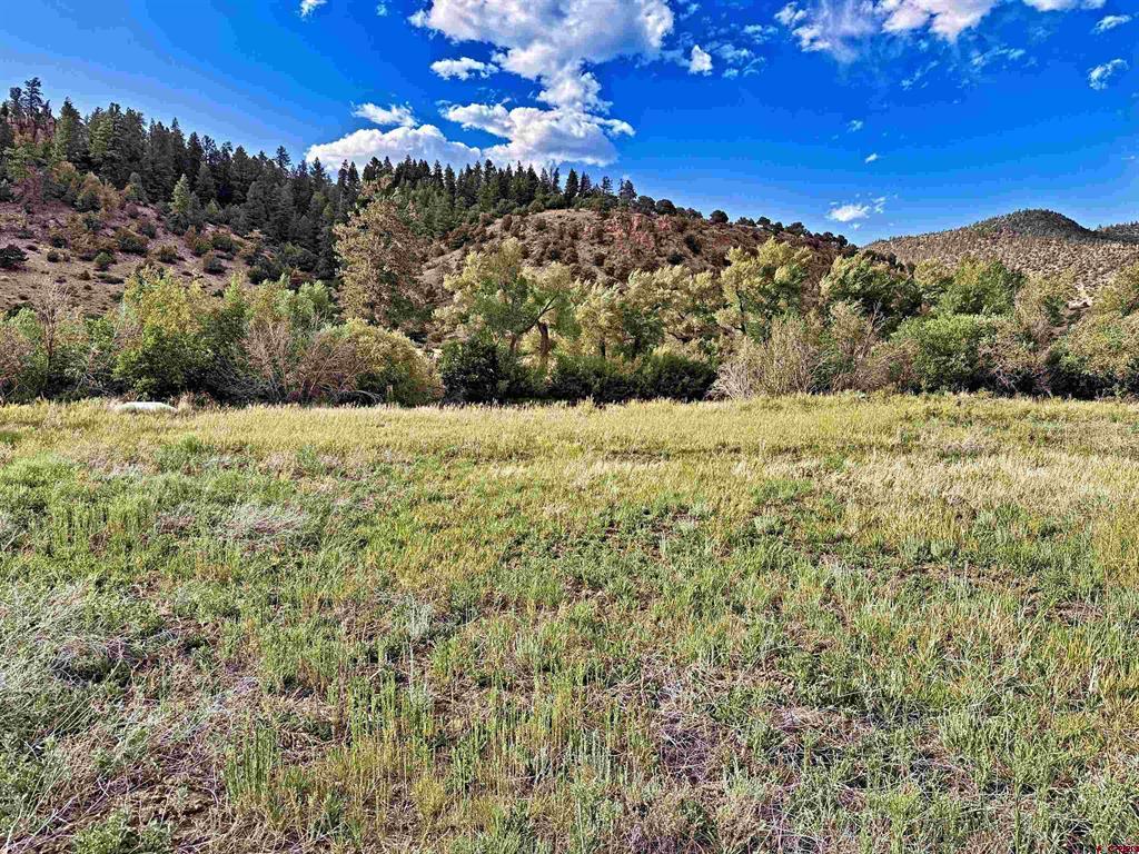 365 Landon Property Photo 6