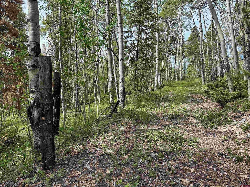 Tbd County Road 743 Property Photo 2