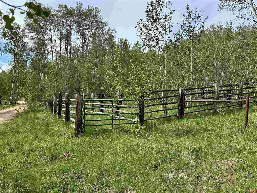 Tbd County Road 743 Property Photo 3
