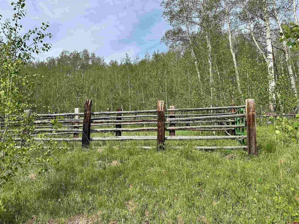 Tbd County Road 743 Property Photo 4