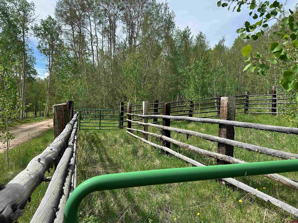 Tbd County Road 743 Property Photo 5