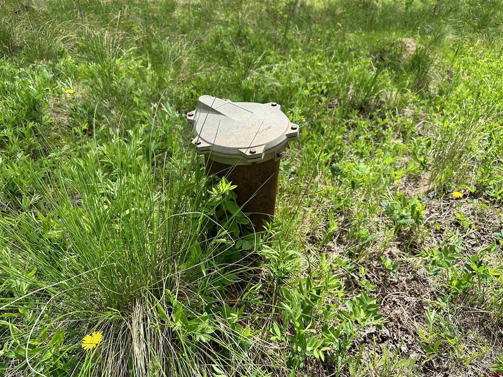 Tbd County Road 743 Property Photo 6