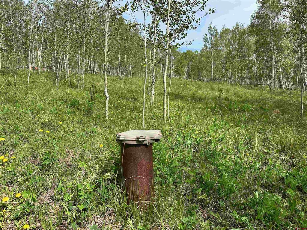 Tbd County Road 743 Property Photo 7