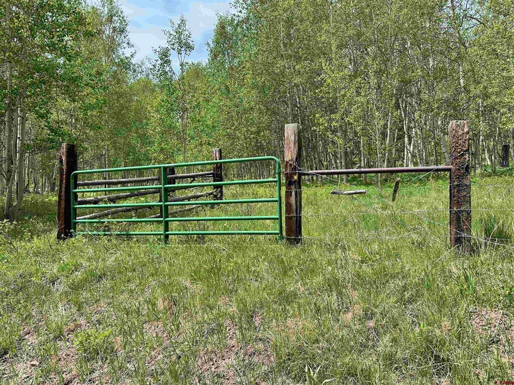 Tbd County Road 743 Property Photo 8