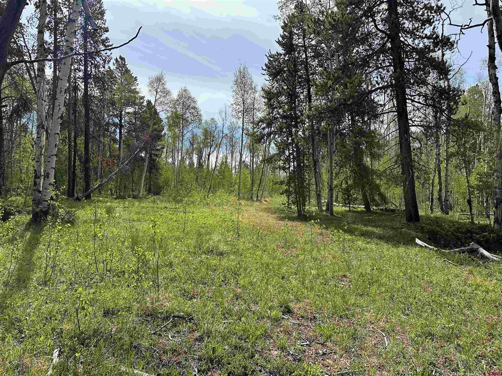 Tbd County Road 743 Property Photo 10