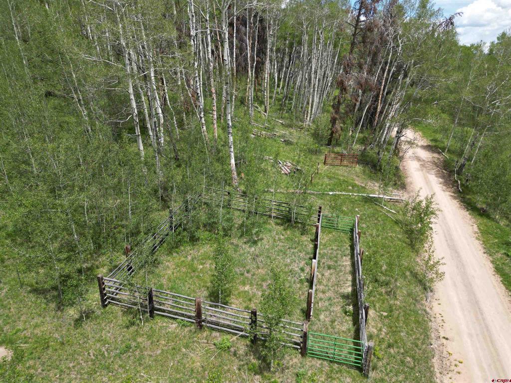 Tbd County Road 743 Property Photo 13