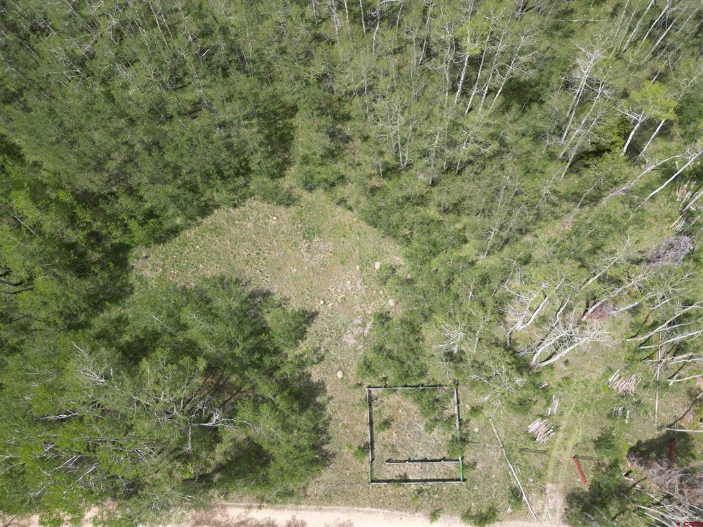 Tbd County Road 743 Property Photo 18