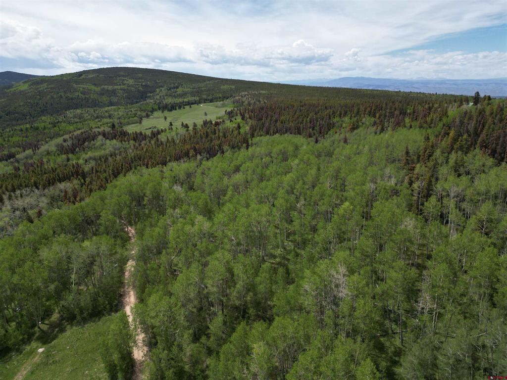 Tbd County Road 743 Property Photo 20