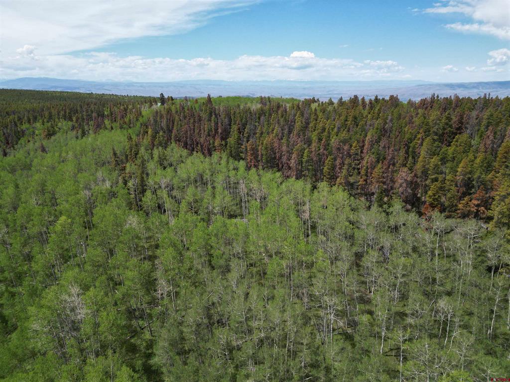 Tbd County Road 743 Property Photo 21