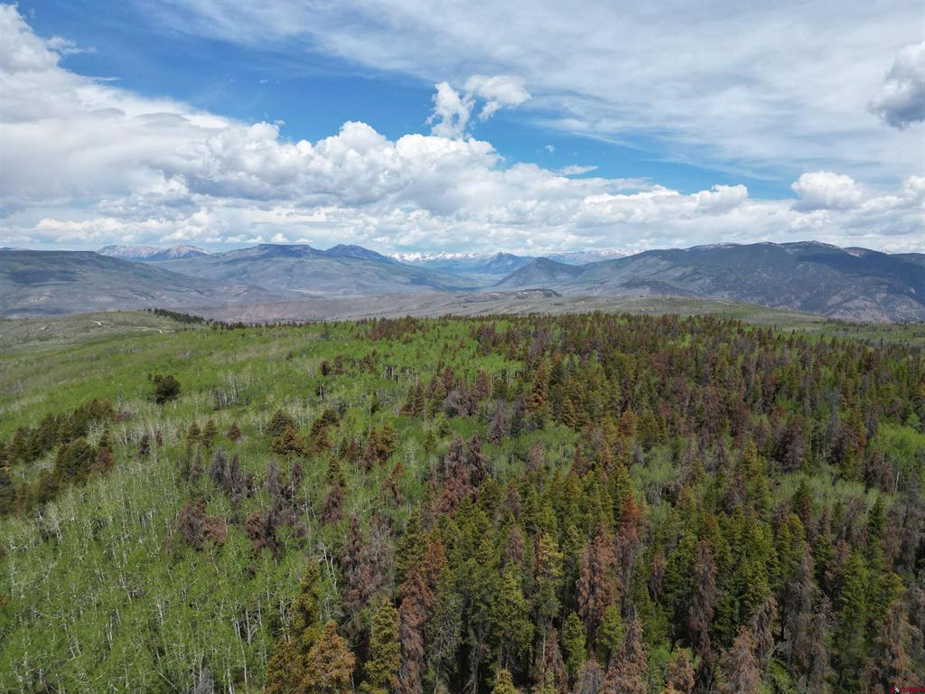 Tbd County Road 743 Property Photo 23