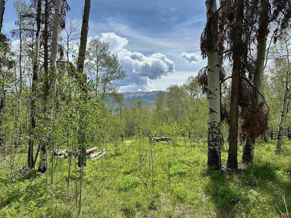 Tbd County Road 743 Property Photo 27