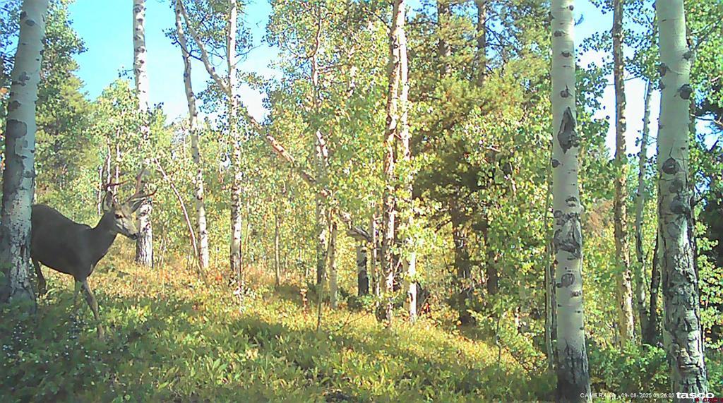 Tbd County Road 743 Property Photo 30