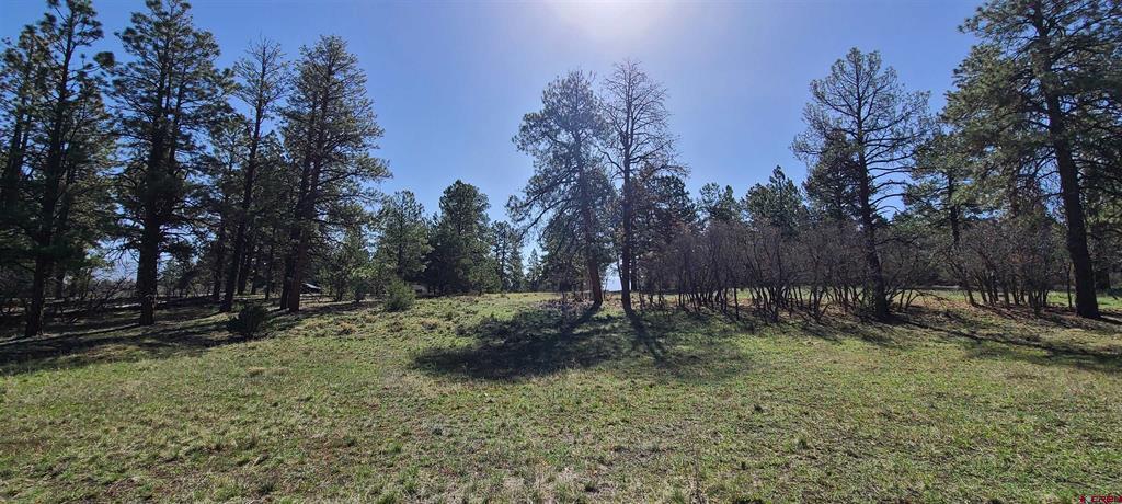 225 Badger Trail Property Photo 1