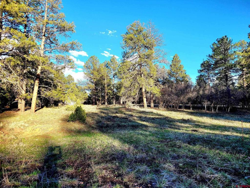 225 Badger Trail Property Photo 2