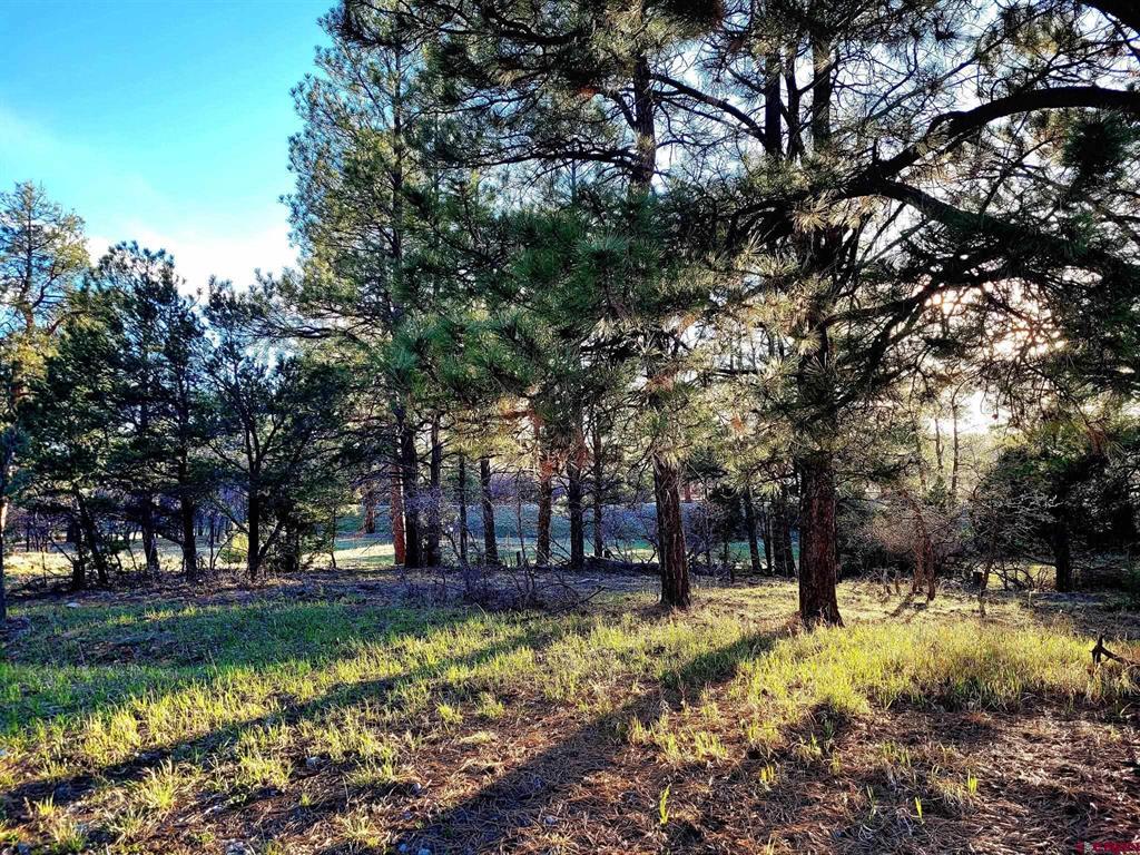 225 Badger Trail Property Photo 3