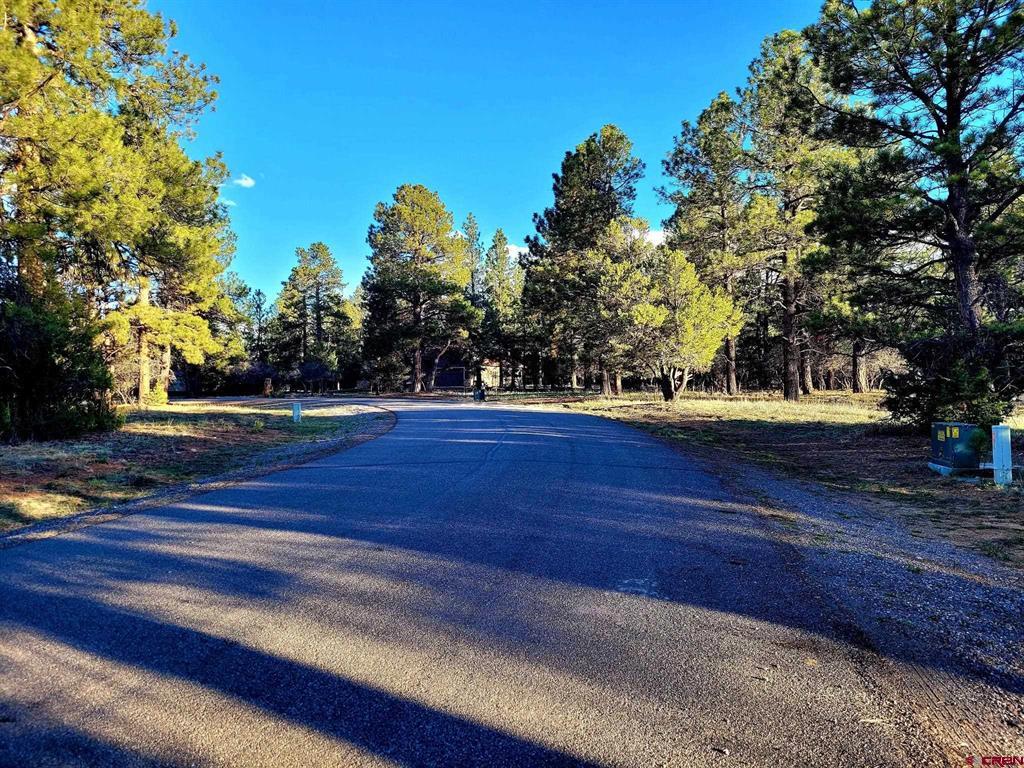 225 Badger Trail Property Photo 4
