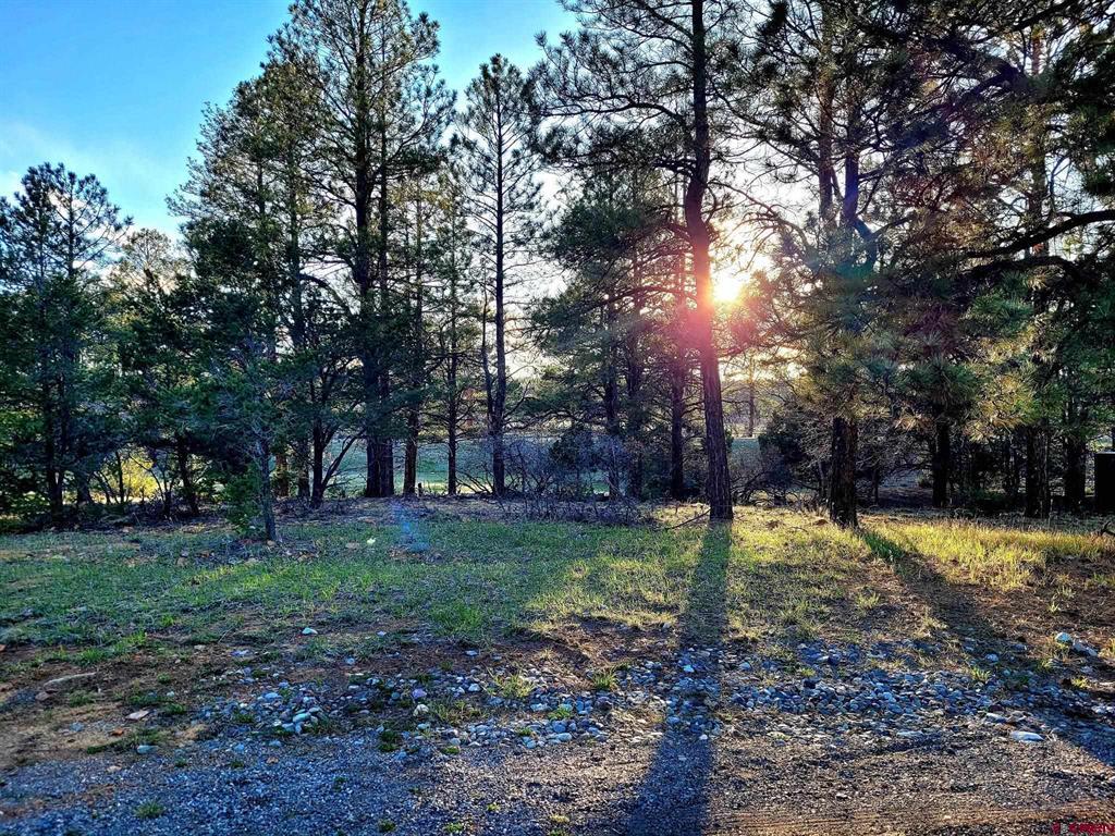 225 Badger Trail Property Photo 5