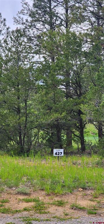 225 Badger Trail Property Photo 8