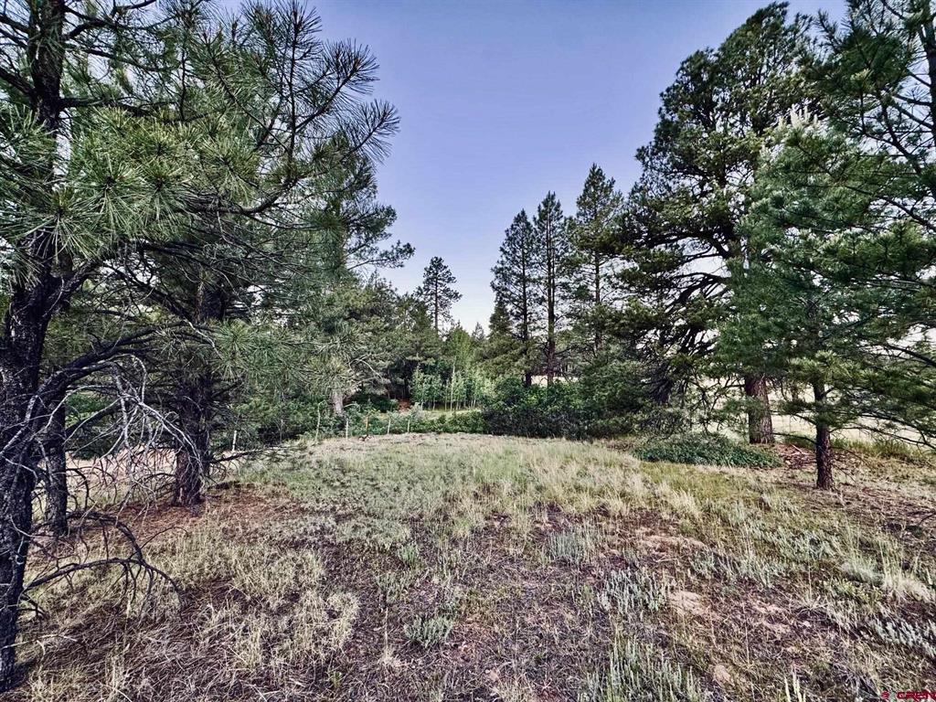 3898 N Pagosa Boulevard Property Photo