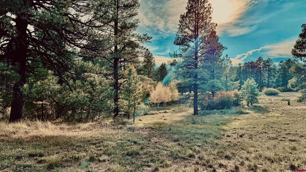 3898 N Pagosa Boulevard Property Photo 1