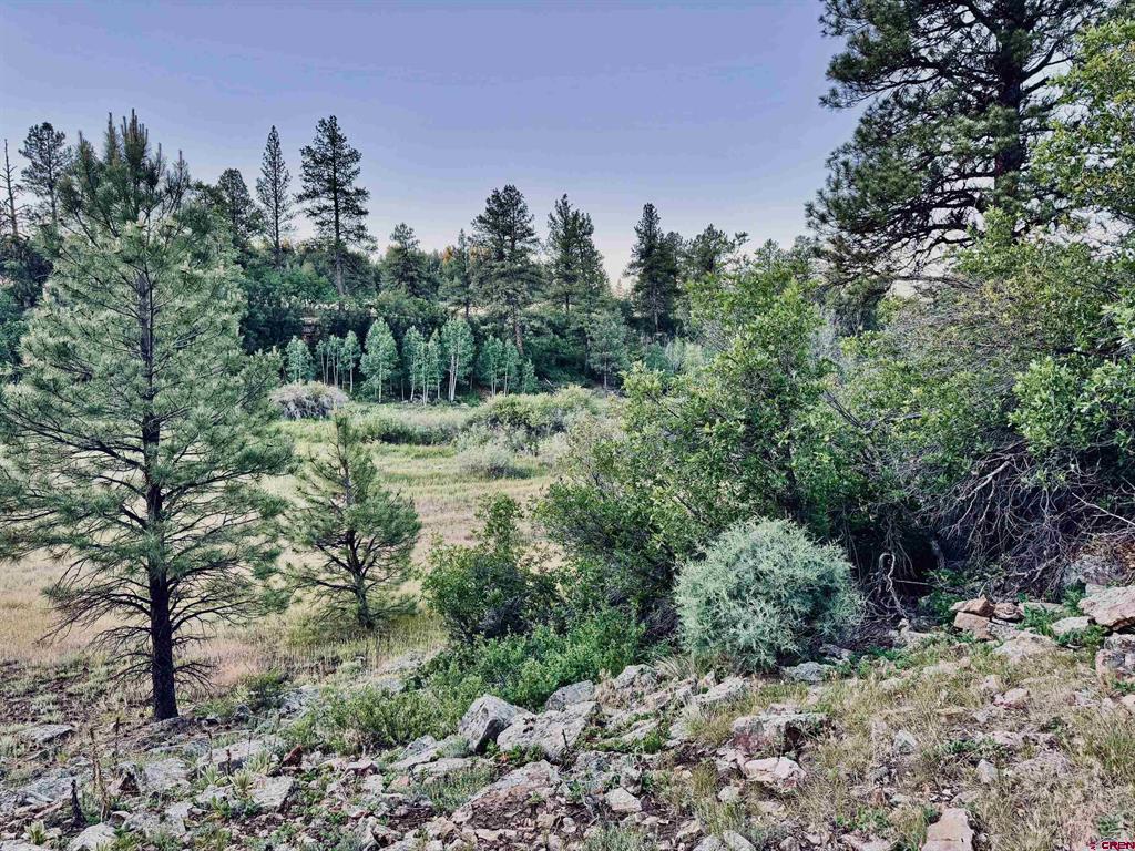3898 N Pagosa Boulevard Property Photo 2
