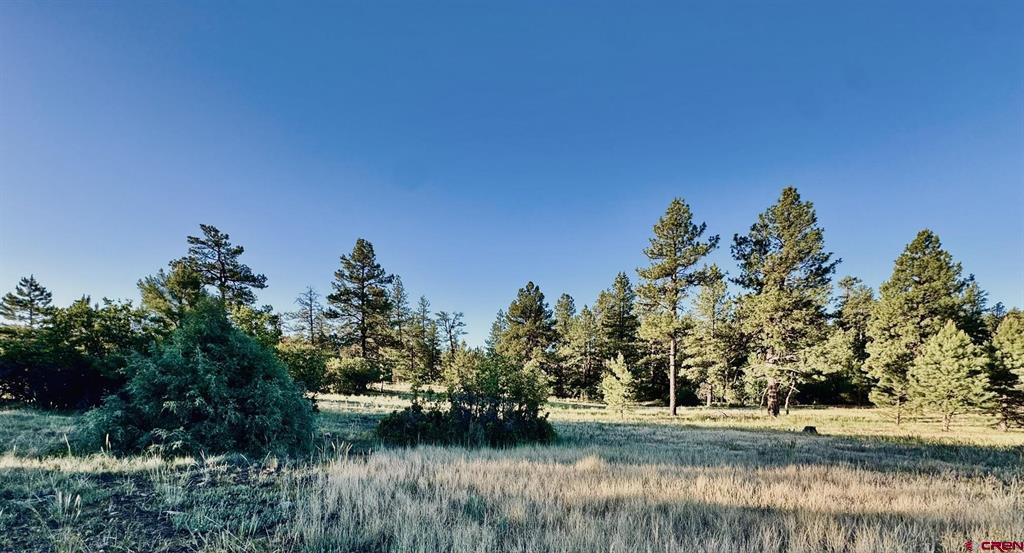 3898 N Pagosa Boulevard Property Photo 3
