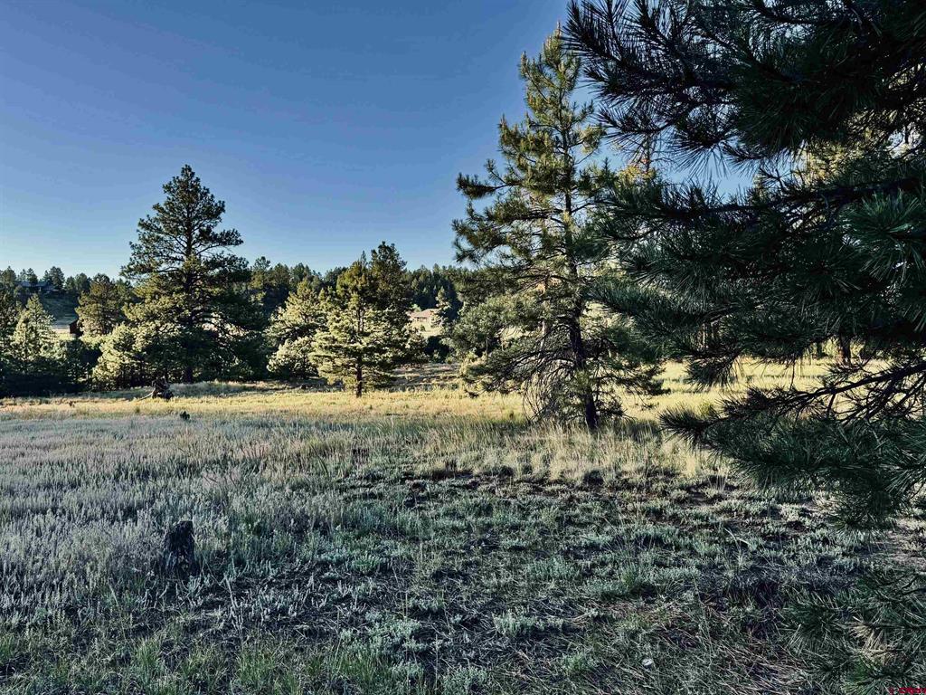 3898 N Pagosa Boulevard Property Photo 7