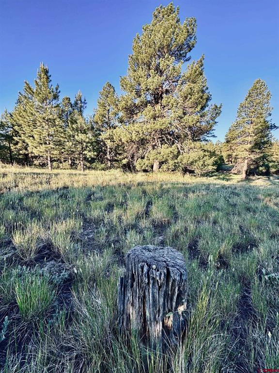 3898 N Pagosa Boulevard Property Photo 8