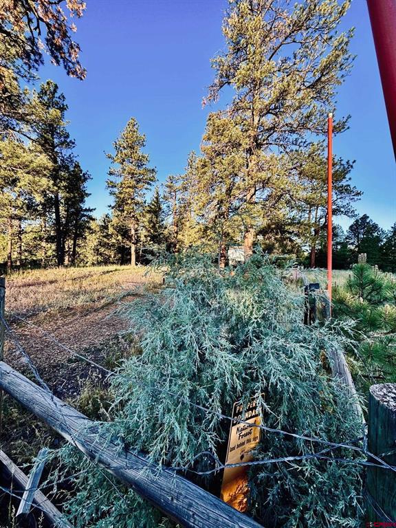 3898 N Pagosa Boulevard Property Photo 9
