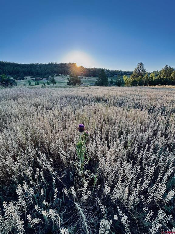 3898 N Pagosa Boulevard Property Photo 10