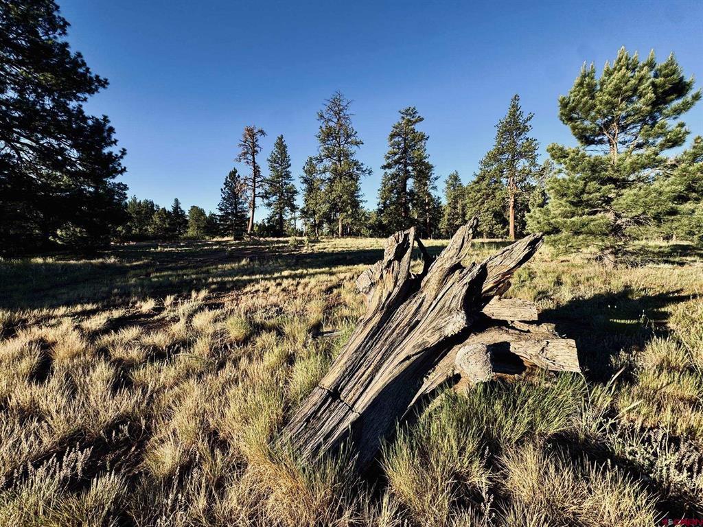 3898 N Pagosa Boulevard Property Photo 11