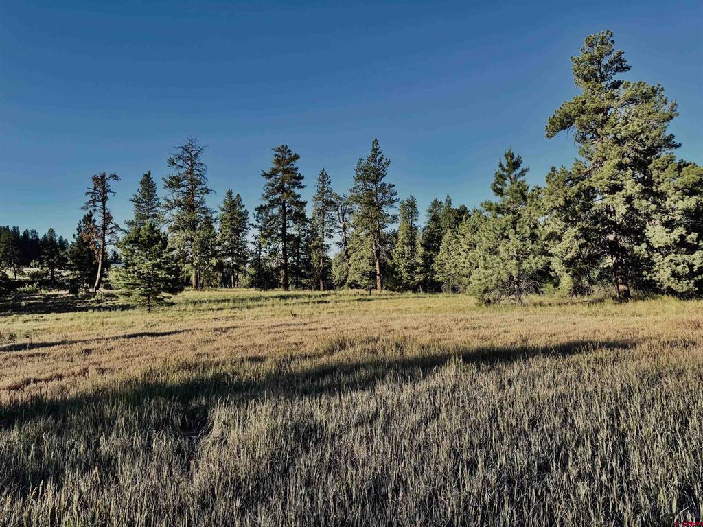 3898 N Pagosa Boulevard Property Photo 12