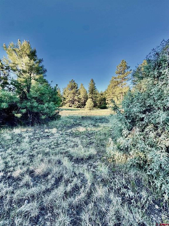 3898 N Pagosa Boulevard Property Photo 13