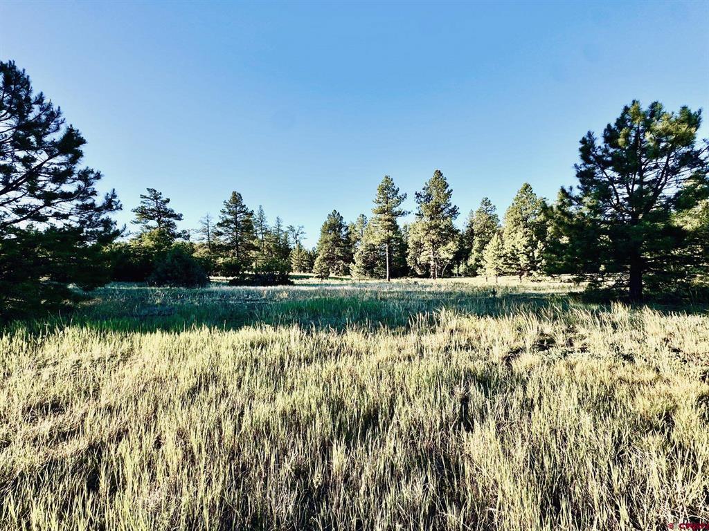 3898 N Pagosa Boulevard Property Photo 14