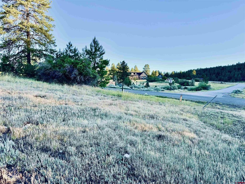 3898 N Pagosa Boulevard Property Photo 15