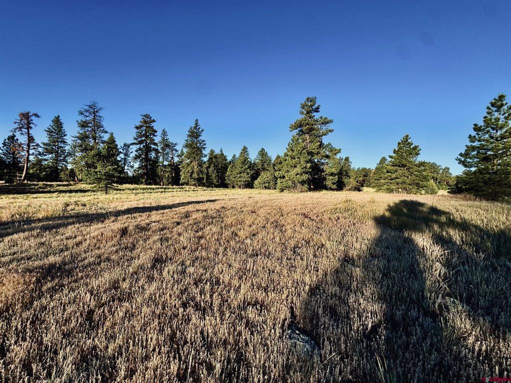 3898 N Pagosa Boulevard Property Photo 16