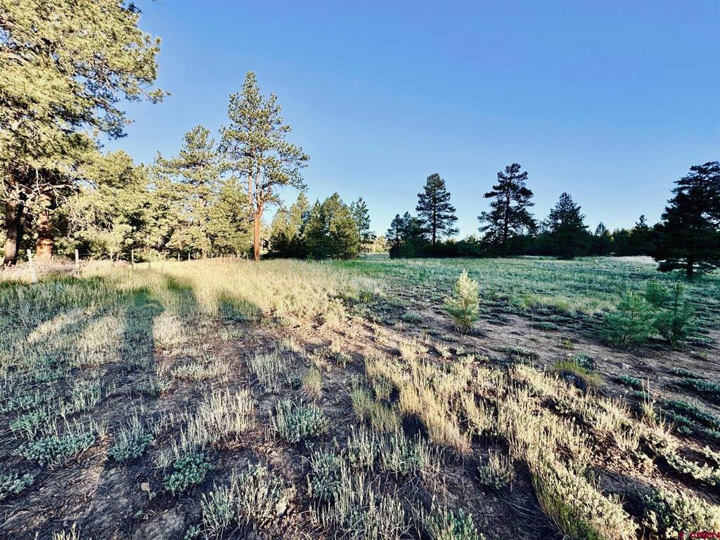 3898 N Pagosa Boulevard Property Photo 17