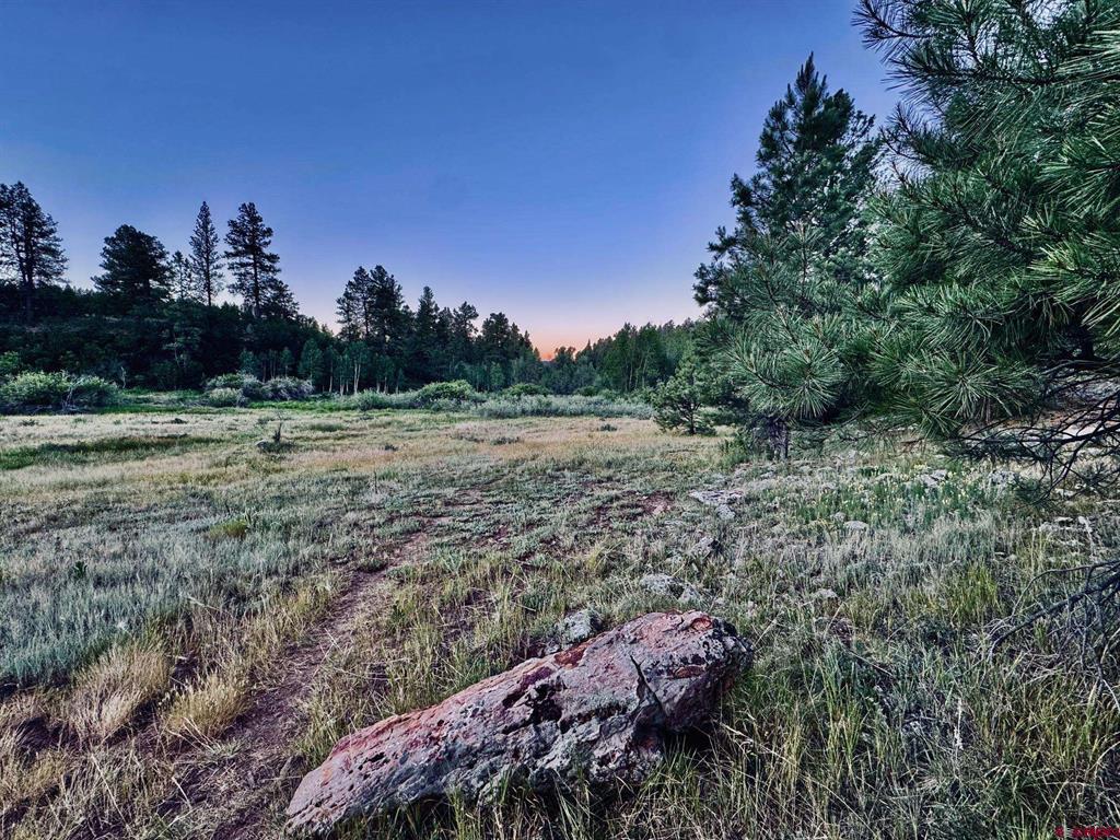 3898 N Pagosa Boulevard Property Photo 18