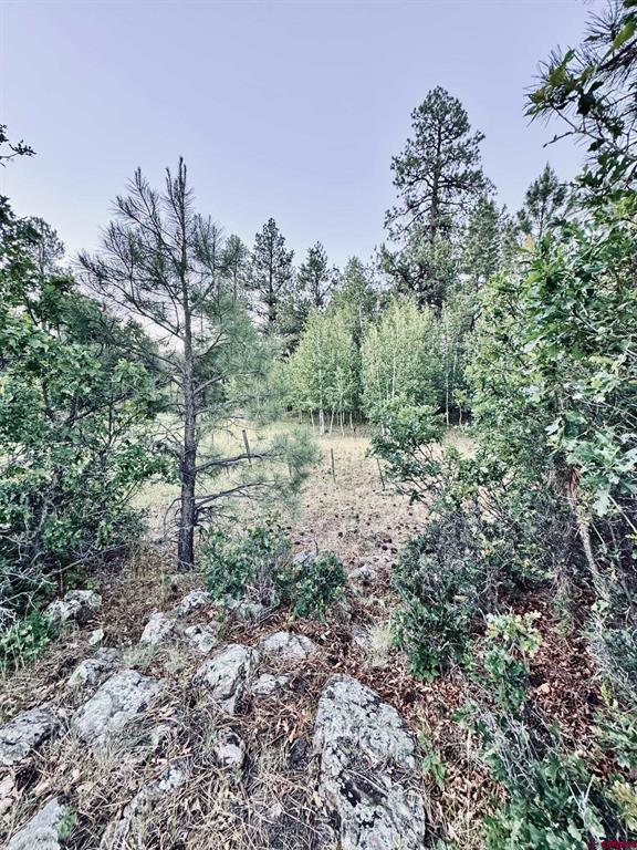 3898 N Pagosa Boulevard Property Photo 19