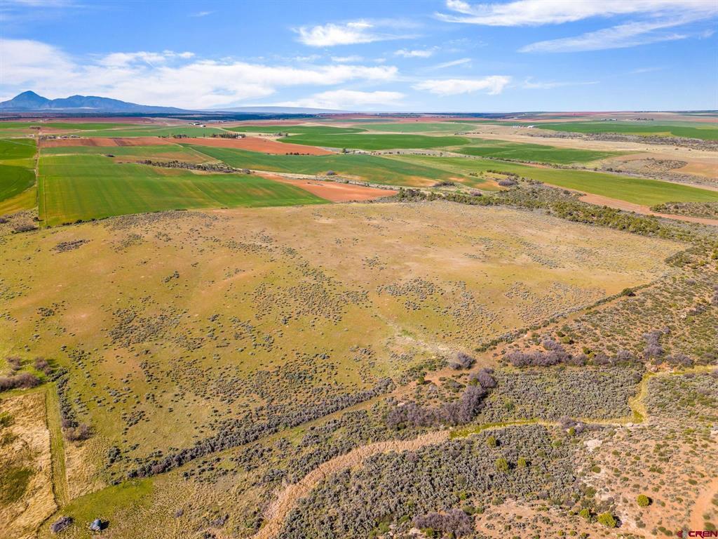 Tbd Highway 491 Property Photo 10