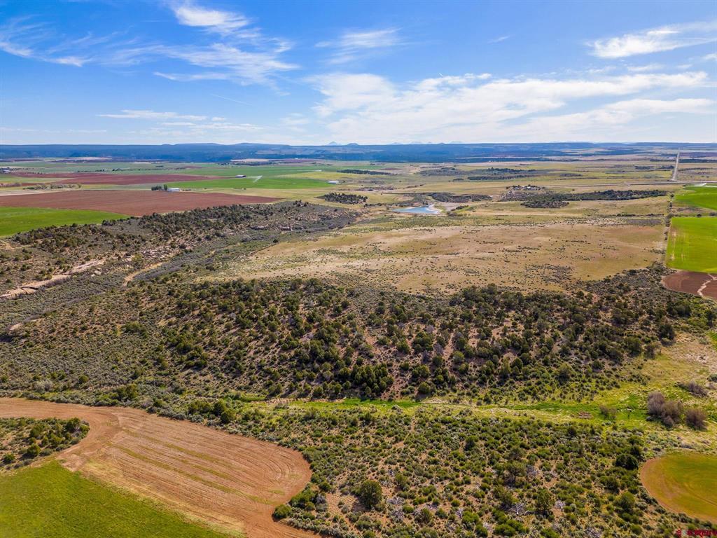Tbd Highway 491 Property Photo 12