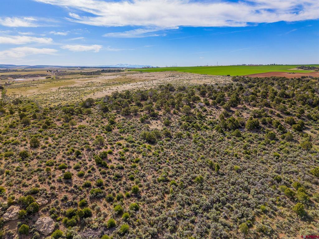 Tbd Highway 491 Property Photo 13